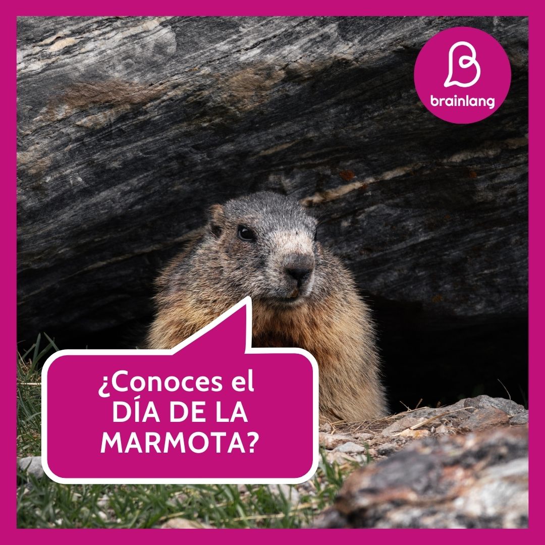 Día-de-la-marmota