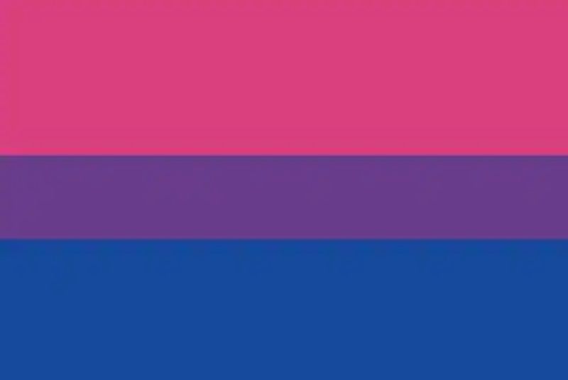 Bandera-Bisexual.