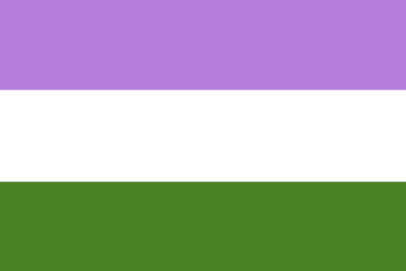 Bandera-Genderqueer