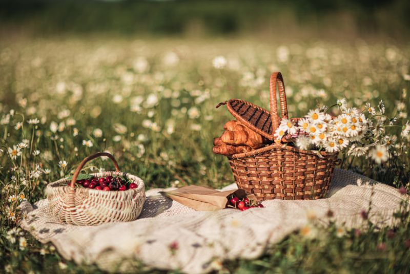 Picnic-vintage